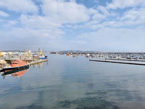 Photo 29- click for photo gallery